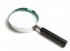 Search