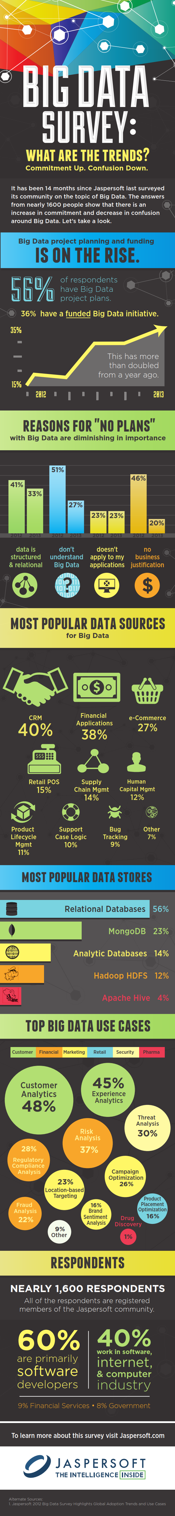 Big-Data-Survey-Infographic-FINAL_001