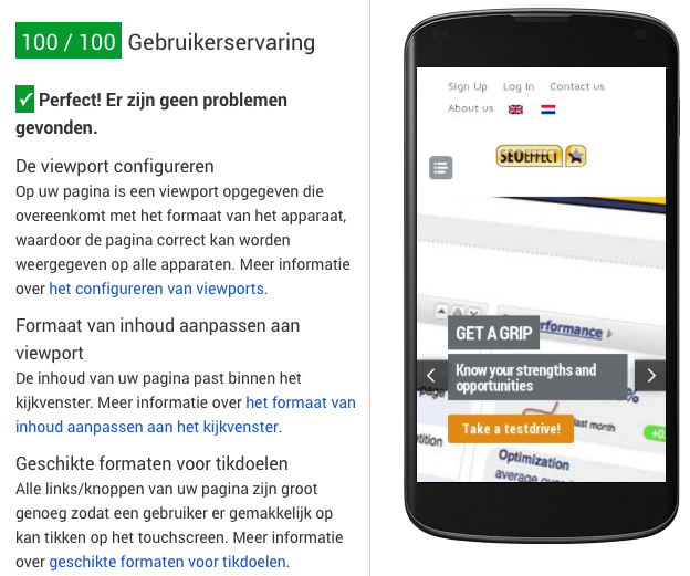 google-page-speed-insights-nl5