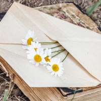De vier belangrijkste trends met onderwerpregels