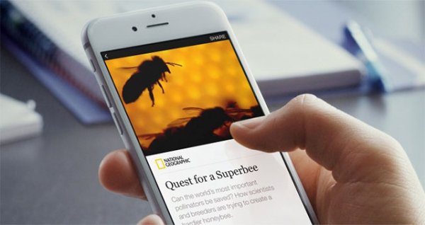 ResizedImage600318-facebook-instant-articles