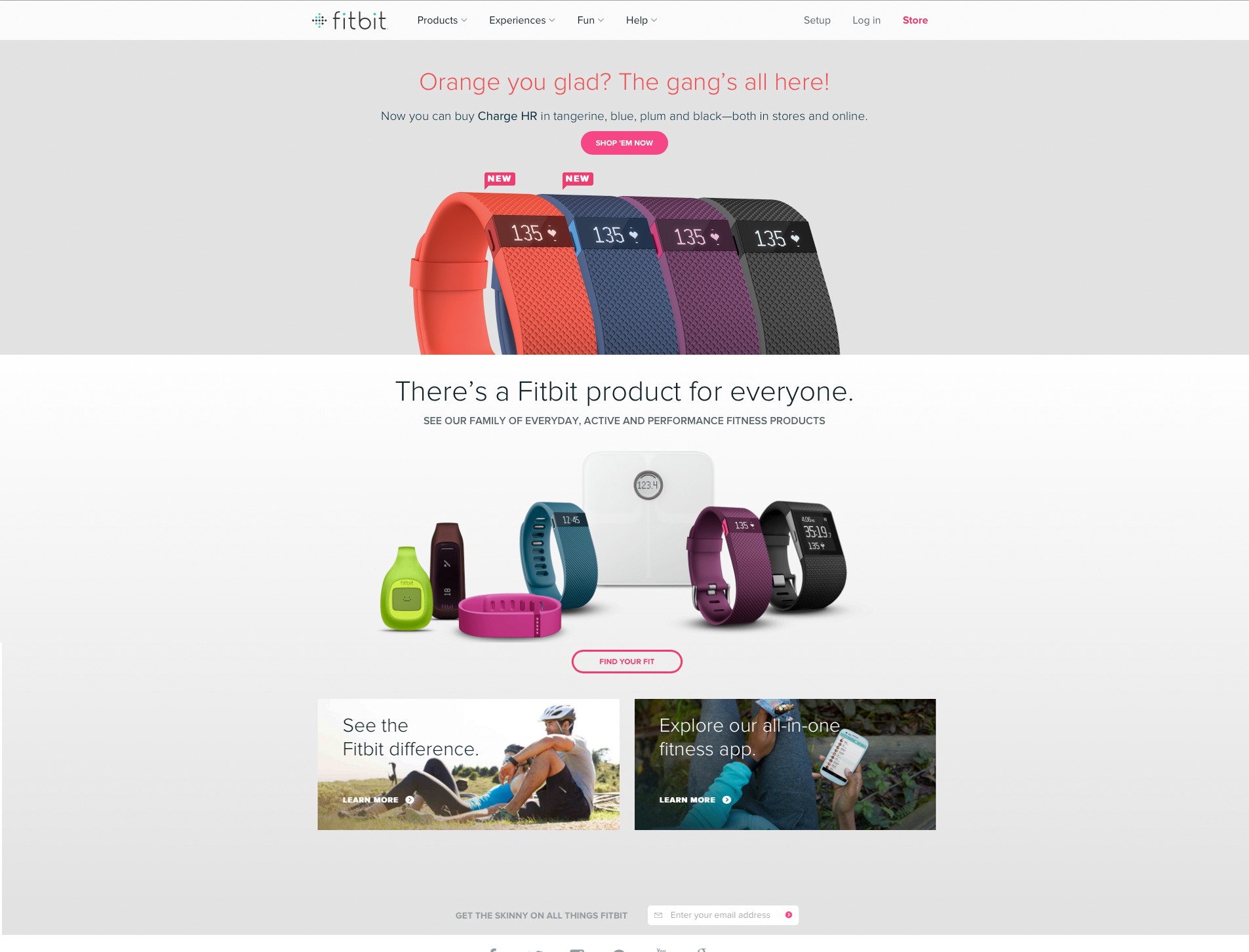 fitbit2015