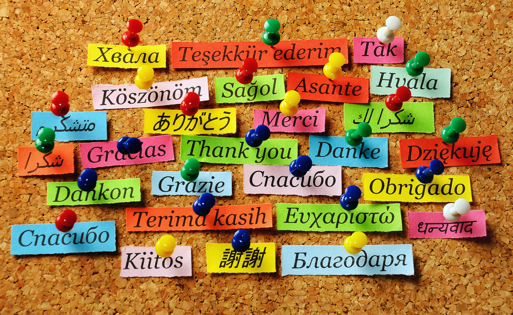 Image result for bedankt alle talen