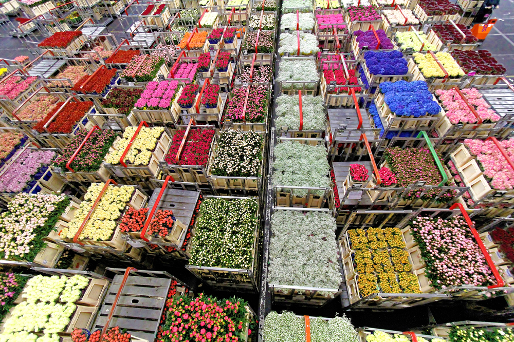 Order fulfillment doe wat je belooft of bied het beste alternatief Emerce
