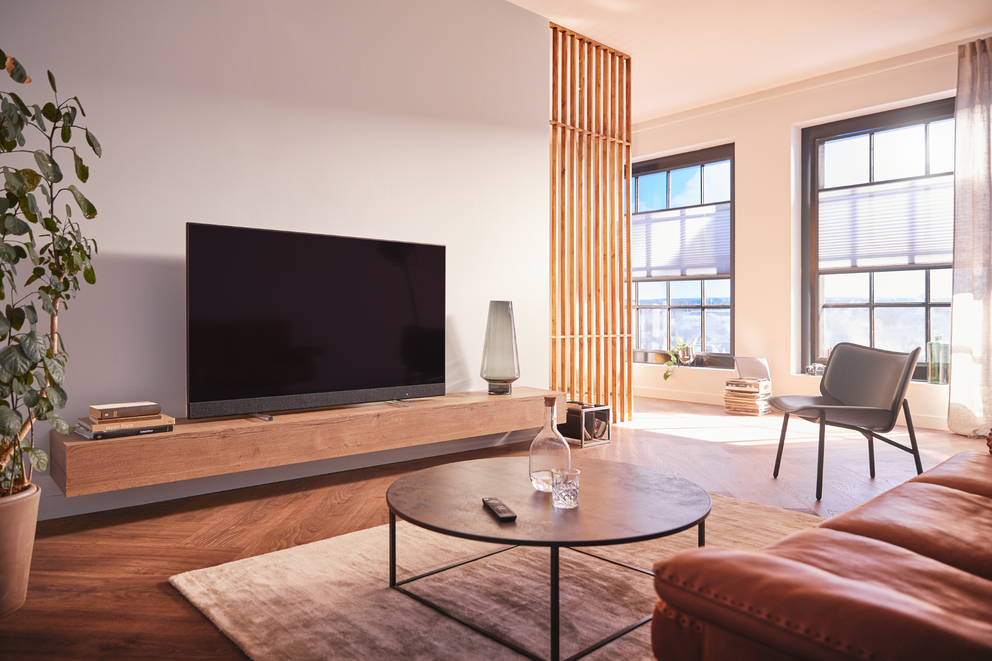 philips oled alexa