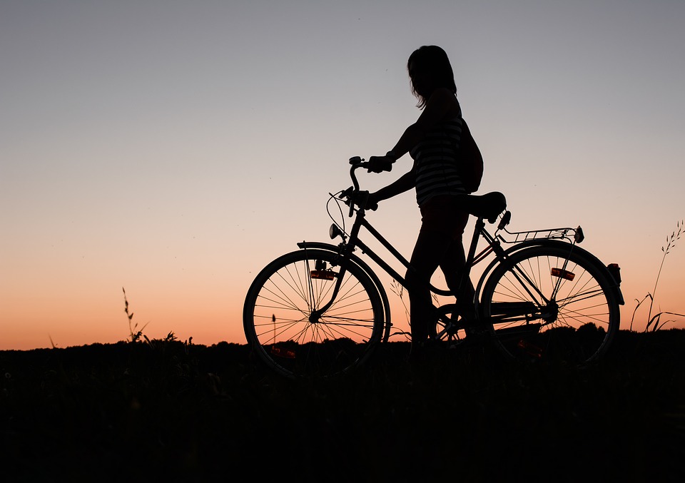 Fietsenwinkel.nl stopt na Batavus en Sparta ook met Gazelle - Emerce