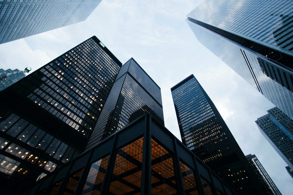 De internationale groeiambities van scale-up Blanco