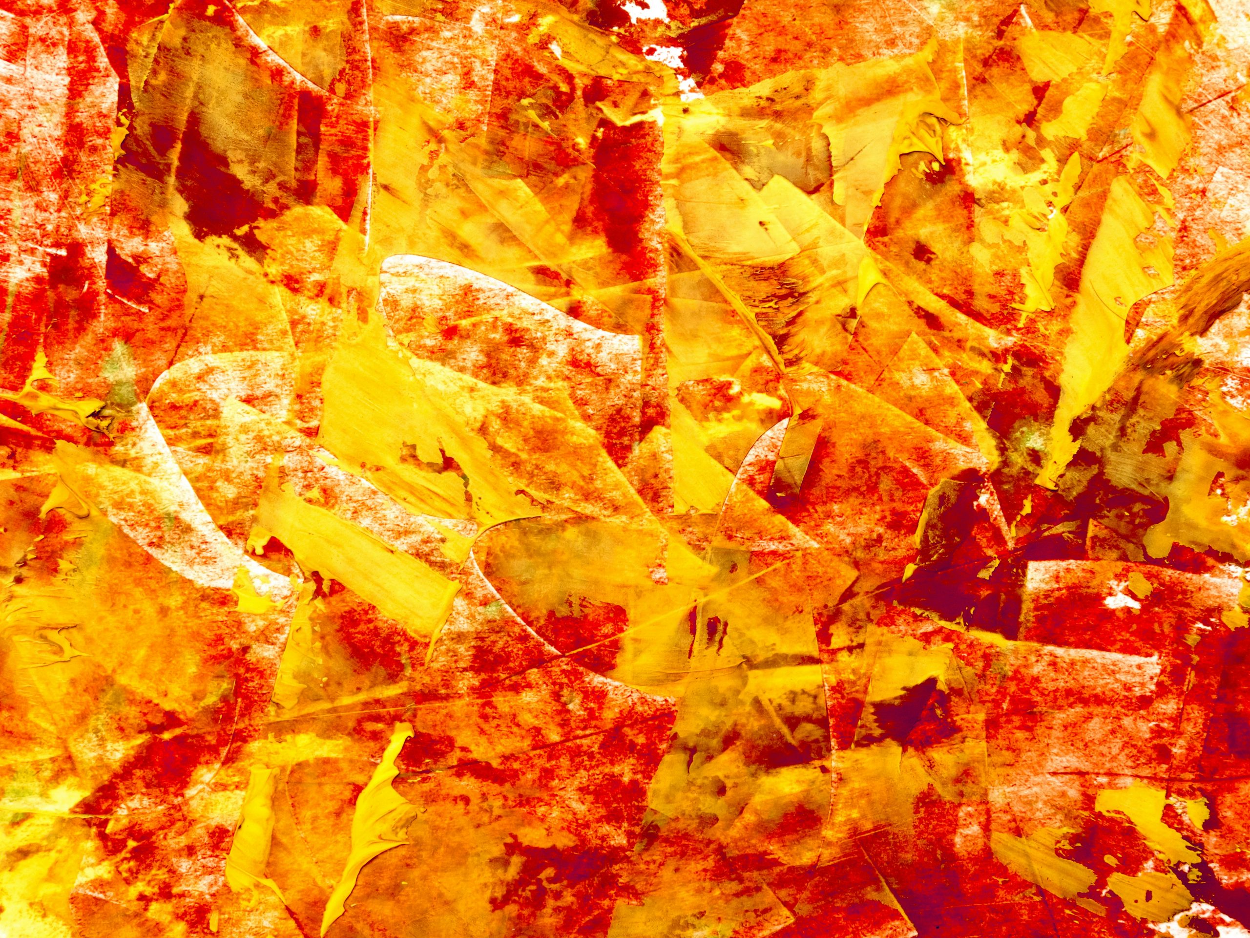 Hoe word je de snelst groeiende online verfwinkel van Nederland? - Emerce